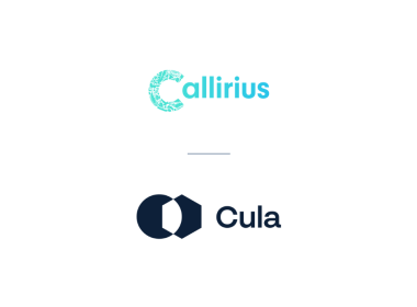 Callirius, Cula Team Up On Monitoring And Financing For Biochar Projects - Carbon Herald