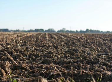 CarbonZero.eco To Advance Its Biochar Operations With $3.5M Seed Funding - Carbon Herald
