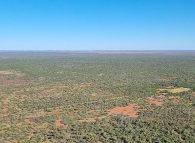 Carbonfuture To Provide dMRV Services For One Of The World's Largest Biochar Projects - Carbon Herald