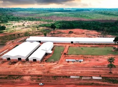 Exomad Green & Microsoft Ink The Largest-Ever Biochar Deal For An Impressive 1.24M Tonnes - Carbon Herald