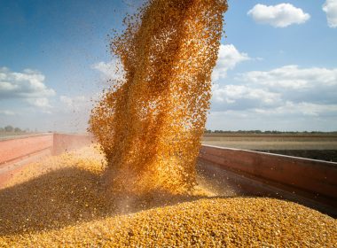 From Corn To CO2: How The Midwest Is Powering The Carbon Capture Drive - Carbon Herald