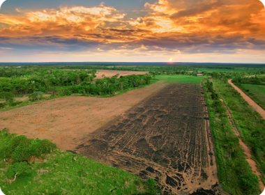 Coalition Of Global South Suppliers Calls For International CDR Recognition In EU Climate Law - Carbon Herald
