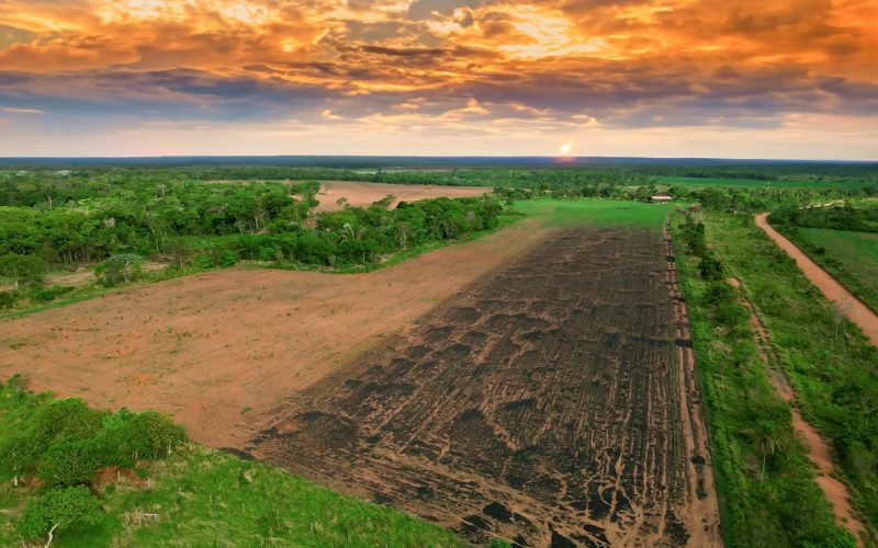 Coalition Of Global South Suppliers Calls For International CDR Recognition In EU Climate Law - Carbon Herald
