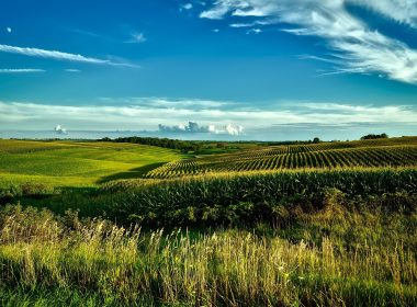 Landowners Reject Summit Carbon’s “Rebrand” Amid Ongoing Pipeline Disputes - Carbon Herald