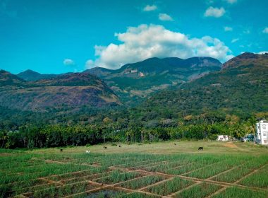 Equilibrium To Scale CDR Projects In India Backed By $3 Million Seed Funding - Carbon Herald
