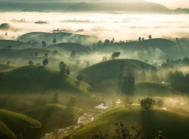 New Government-Backed Coalition Seeks To Unlock Corporate Climate Investment - Carbon Herald