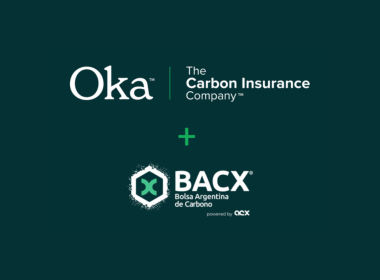 Oka, BACX Bring Pre-Insured Credits To Voluntary Carbon Market In Argentina - Carbon Herald
