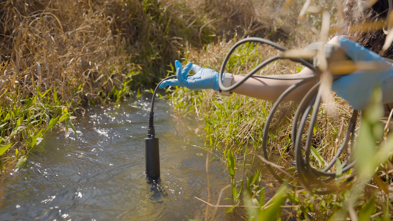 Terradot, Backed By Microsoft, Is Validating ERW At New Sentinel Site In Brazil - Carbon Herald