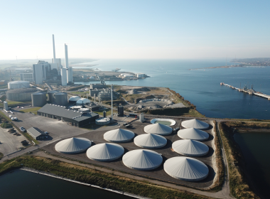 Carbonfuture Opens Tender For Government-Backed BECCS Supply In Denmark - Carbon Herald