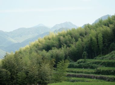 New Joint Venture Aims To Support $100B Carbon Mitigation Pipeline Under Article 6- Carbon Herald