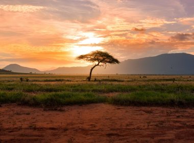 Tax Ambiguity Threatens Kenya’s Growing Carbon Credit Industry - Carbon Herald