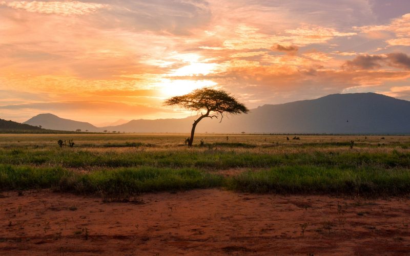 Tax Ambiguity Threatens Kenya’s Growing Carbon Credit Industry - Carbon Herald