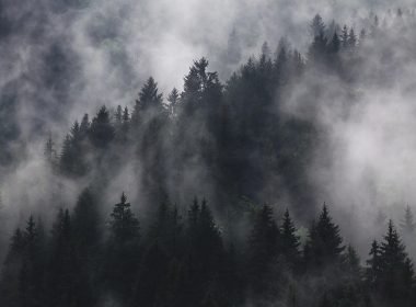 Project Developers Warn Gold Standard Against Retroactive Climate Rules - Carbon Herald