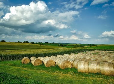 Iowa House Committee Advances Eminent Domain Ban For CO2 Pipelines - Carbon Herald
