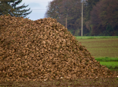 FLS Group And DecarboEngineering Team Up On Biochar Deployment In Paraguay - Carbon Herald
