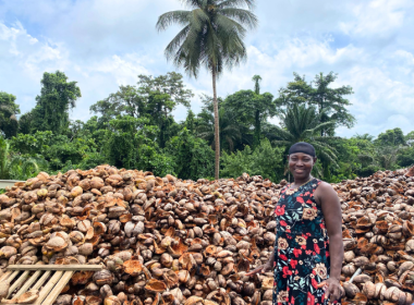 Climeworks Embarks On A Muli-Year Agreement With Biochar Company Truecoco - Carbon Herald