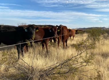 Boomitra Issues An Eyecatching 3.03M Credits From The Largest Verra-Approved Soil Carbon Project To Date - Carbon Herald