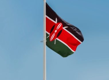 Kenya’s Clean-Cooking Pioneer Koko Shuts Down After Carbon Credit Standoff - Carbon Herald