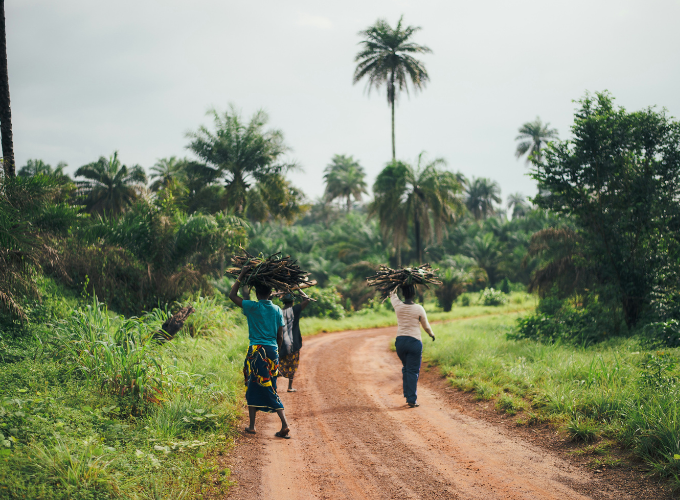 Rainforest Builder Secures Series A Support For Ecosystem Restoration In West Africa - Carbon Herald