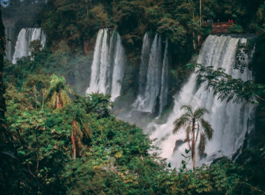 remove Will Soon Offer Support To CDR Startups In Latin America - Carbon Herald
