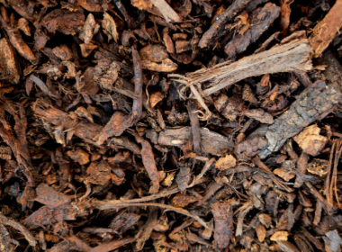 In A Strategic Biochar Move, Mangrove Systems Acquires Grain Ecosystem - Carbon Herald