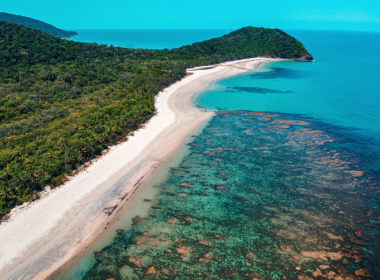 NoviqTech Subsidiary Coralia Partners With A Healthier Earth On Great Barrier Reef Biochar - Carbon Herald