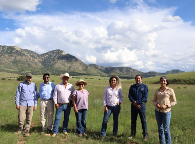 Carbon Finance Reaches Mexico's Desert Ranchers As Boomitra Begins Credit Payments - Carbon Herald