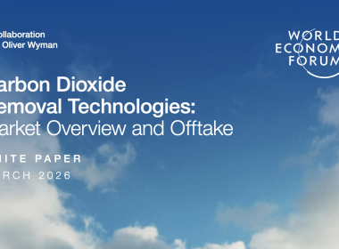 World Economic Forum Flags Structural Barriers For Carbon Removal Markets
