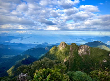Carbon Business Council & Regional Industry Leaders Publish The Latin America Carbon Removal Investment Roadmap - Carbon Herald