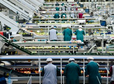 Therm Launches Mexico Carbon Credits Targeting Refrigerant Emissions - Carbon Herald