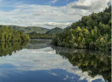 New Tasmania Natural Asset Trust To Invest $142M In Sustainable Forestry Plantations - Carbon Herald