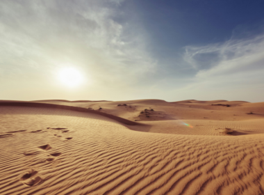 Sequest To Leverage Desert Dryness In A New CDR Approach - Carbon Herald