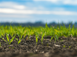 Public Consultation Now Open For New CRCF-Compliant Biochar Certification Methodology - Carbon Herald