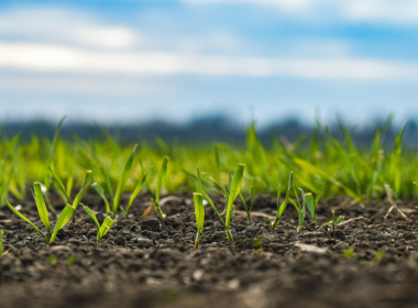 Public Consultation Now Open For New CRCF-Compliant Biochar Certification Methodology - Carbon Herald