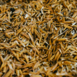 remove Wraps Up Its 2026 Pre-Purchase Activity With New Exothermite Biochar Deal - Carbon Herald