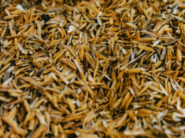 remove Wraps Up Its 2026 Pre-Purchase Activity With New Exothermite Biochar Deal - Carbon Herald