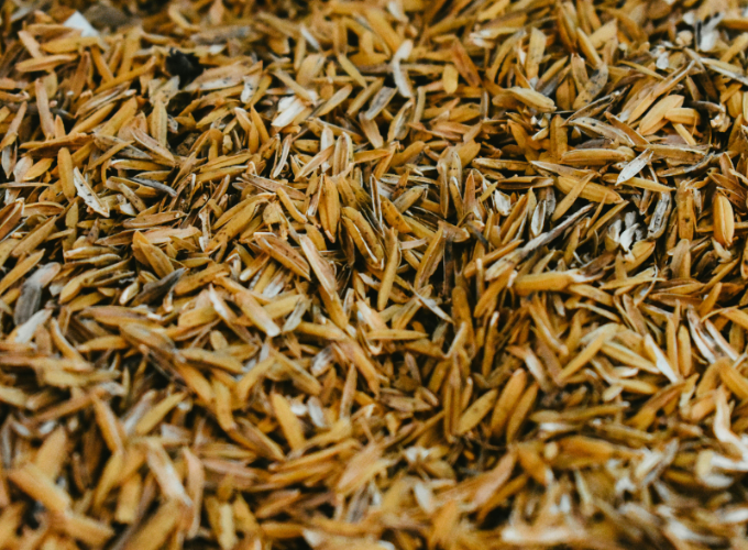 remove Wraps Up Its 2026 Pre-Purchase Activity With New Exothermite Biochar Deal - Carbon Herald