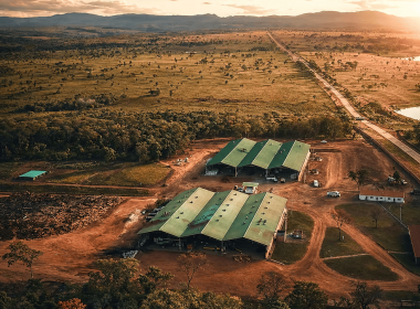 Exomad Green And Carbonfuture Expand Biochar Supply Deal To Over 1.1M Tons - Carbon Herald