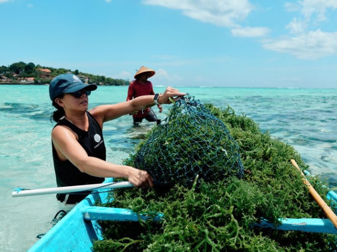 Swedish Climate Tech Firm Arbon Earth Secures Permit for Deep-Sea Carbon Removal in Indonesia - News Directory 3