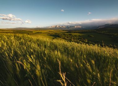 Alberta Allocates $20M To Scale Hydrogen And Carbon Capture - Carbon Herald