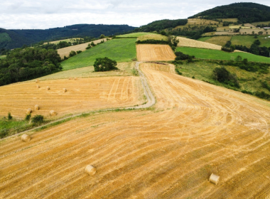 First European Credits Under Gold Standard's Soil Organic CO2 Framework Methodology Now Available On The Market - Carbon Herald