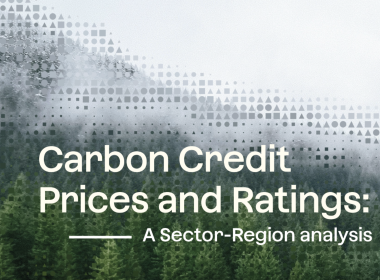 Higher-Rated Carbon Credits Command Growing Price Premium, BeZero Finds - Carbon Herald
