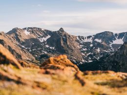 New RMI Report Outlines Roadmap To Lower Carbon Removal Costs - Carbon Herald