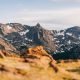New RMI Report Outlines Roadmap To Lower Carbon Removal Costs - Carbon Herald