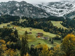 Swiss Biomethane Tender Highlights European Shift Toward Biogenic Carbon Capture - Carbon Herald