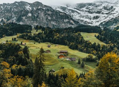 Swiss Biomethane Tender Highlights European Shift Toward Biogenic Carbon Capture - Carbon Herald